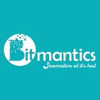 Bitmantics